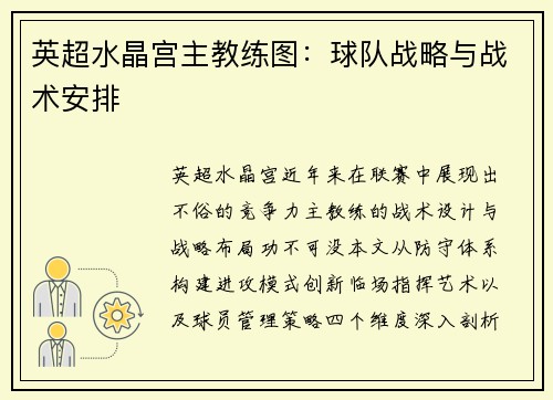 英超水晶宫主教练图：球队战略与战术安排
