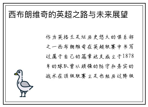 西布朗维奇的英超之路与未来展望