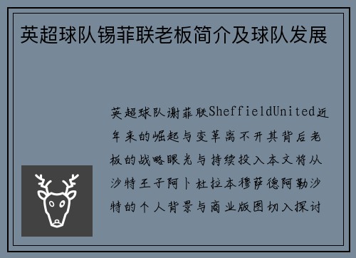 英超球队锡菲联老板简介及球队发展